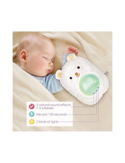 Hape-HAPE-My-first-music-pal---Bear-gia-0-minon-E0115 (3)